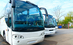 Bus and minibus service